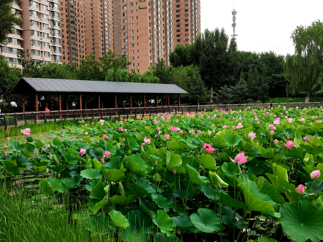 沈阳北塔公园13景点美煞人