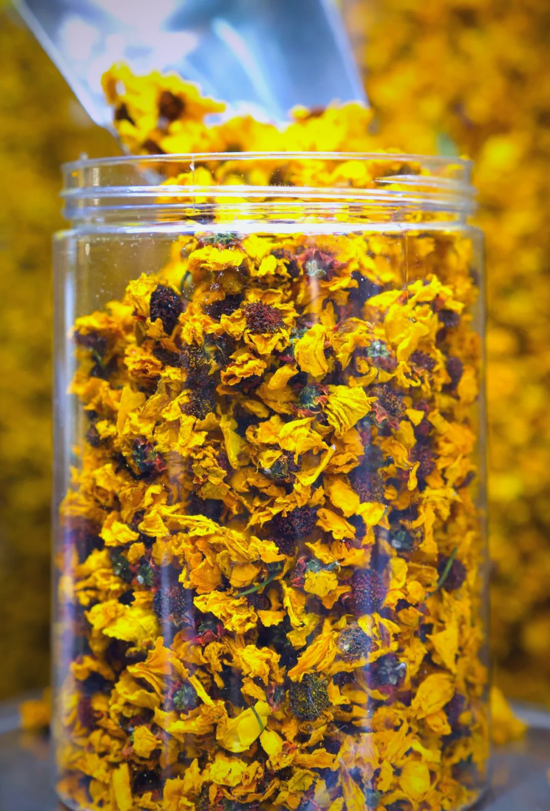 新疆雪菊:喝茶的必备之选,你不可错过!