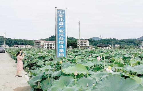 山城有個