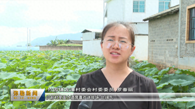 彌勒竹園鎮龍潭村:建清廉村居 樹清風正氣