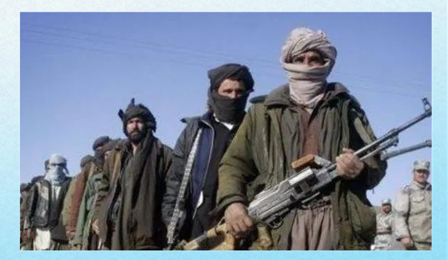 巴基斯坦塔利班的起源,发展与未来