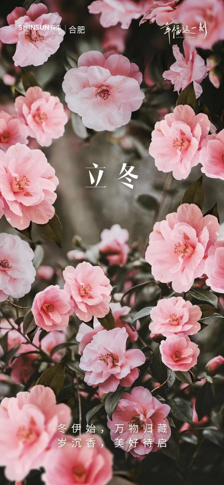 票选丨雪兆丰年!2021年立冬物企宣传海报大赏