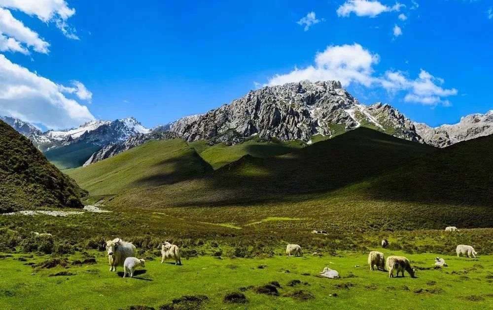 雪域藏乡,秘境天祝