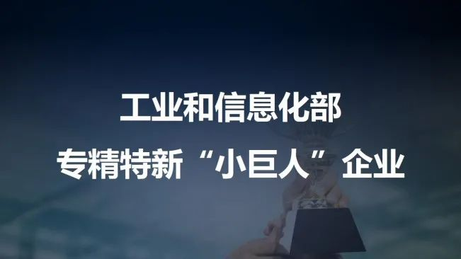 多家科创板民营企业表示 深入推动科技自立自强