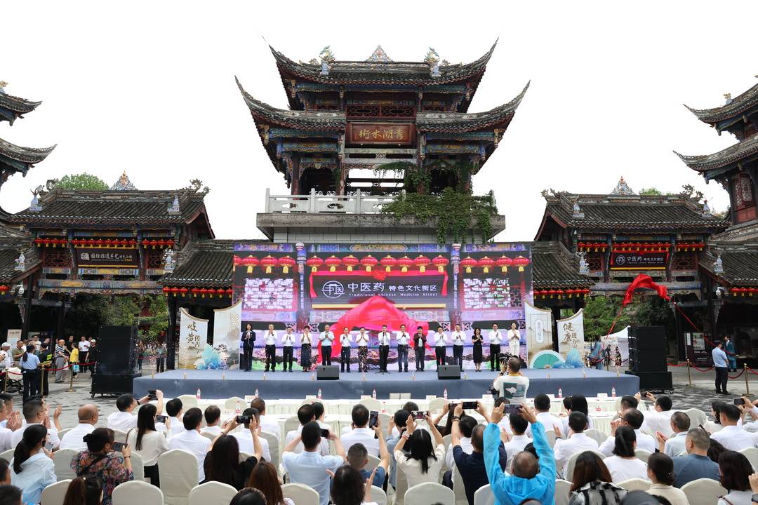 重庆璧山:中医药特色文化街区开街