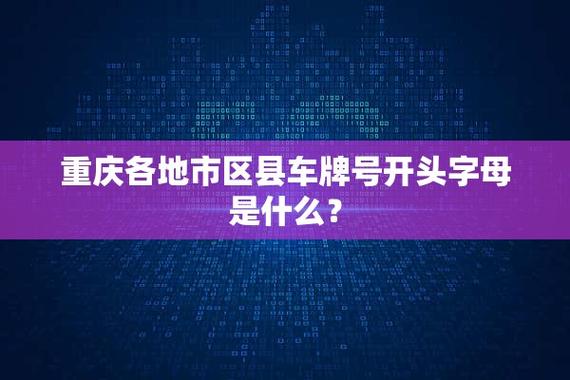 重庆车辆牌照地区识别图片