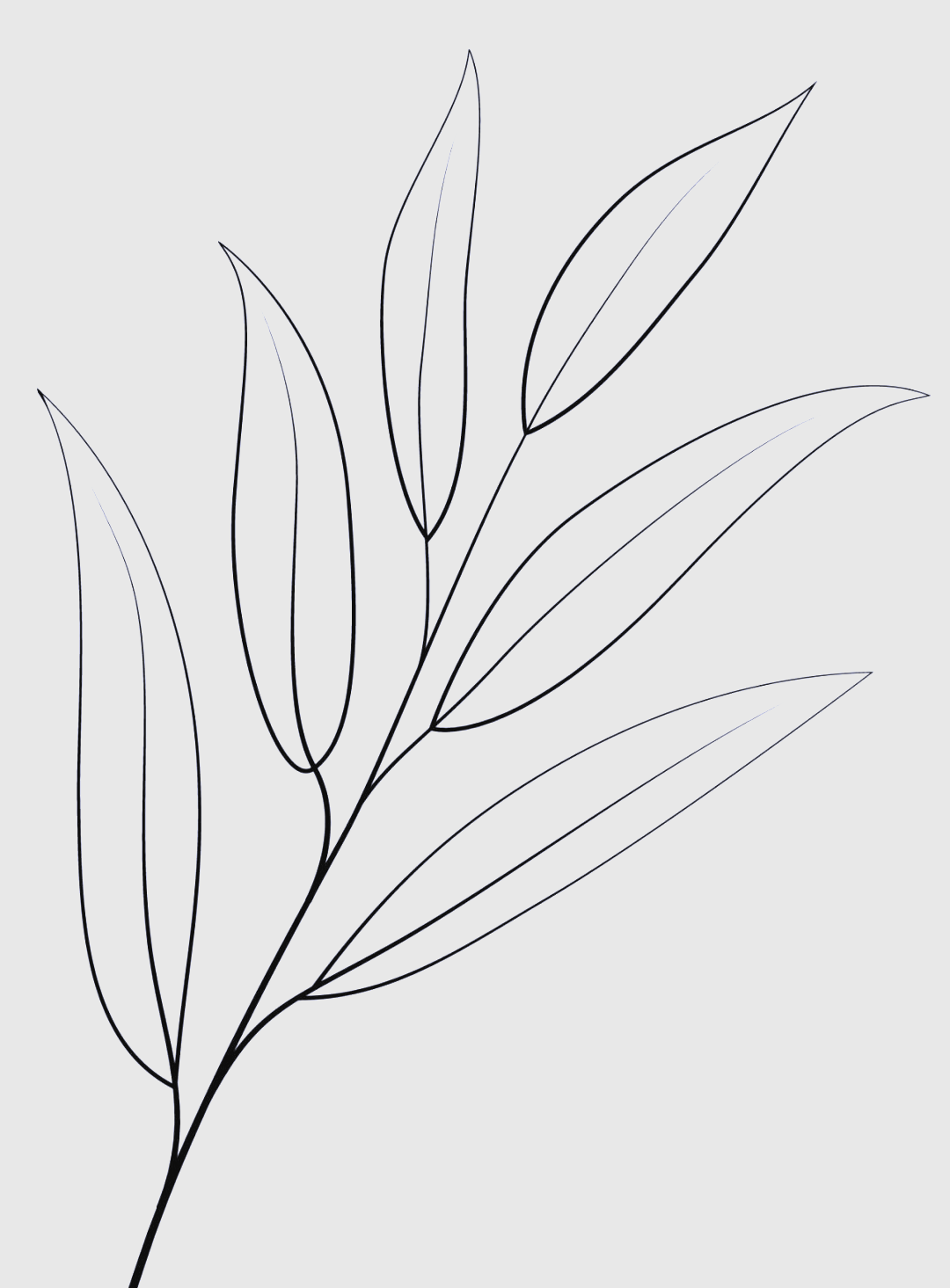 探索铅笔绘画:从零基础到掌握自然叶片的灵动之美