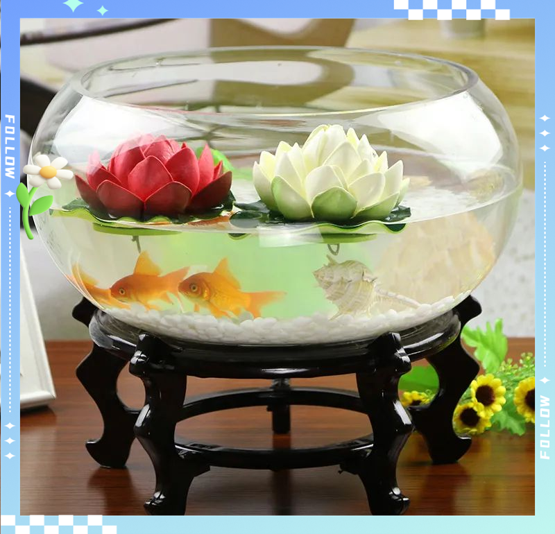 创意桌面鱼缸:生态圆形设计,小型造景家用水族箱