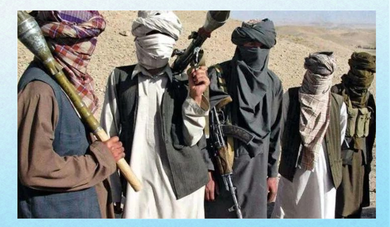 巴基斯坦塔利班的起源,发展与未来