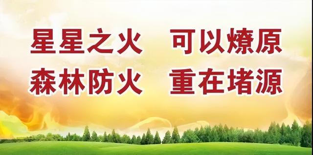 「安全教育」新城中心幼儿园森林防火知识宣传