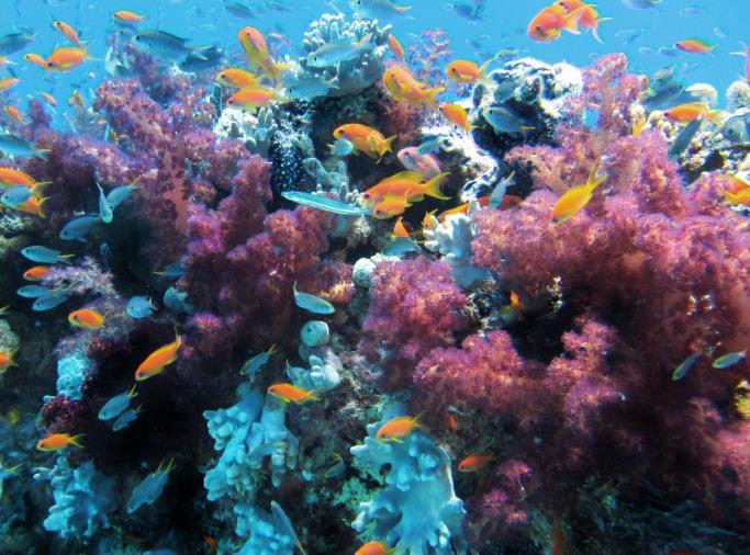 科学家在1万米海底,发现了不该出现的东西,人类要警惕起来了?