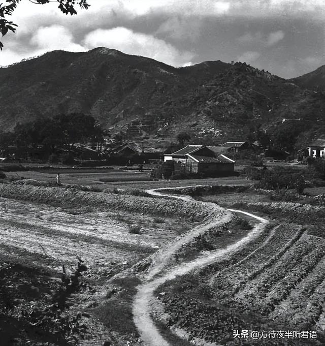 繁盛前夕:金石聲1930到1940年代香港留影