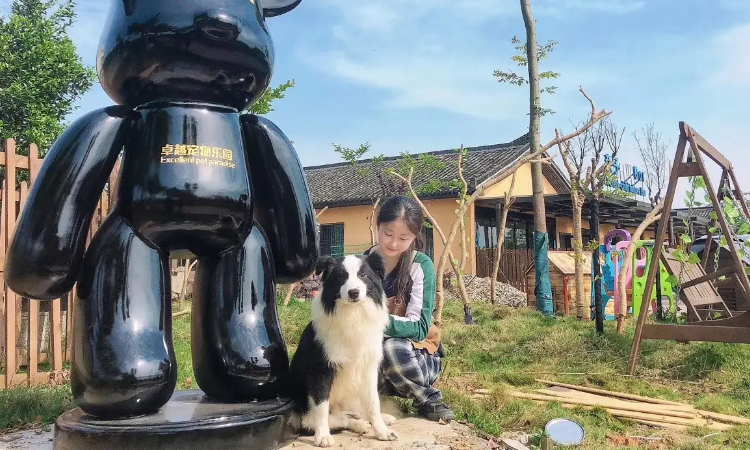 長沙允許帶寵物狗的景區