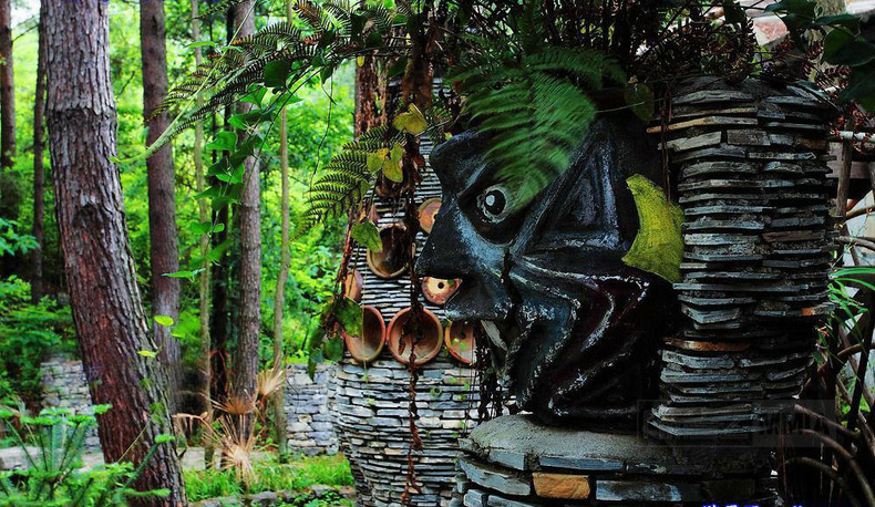 揭秘:夜郎国图腾崇拜之蟾蜍