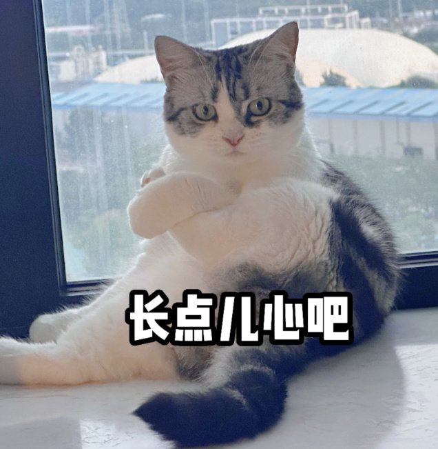 宠物消费四大陷阱曝光!