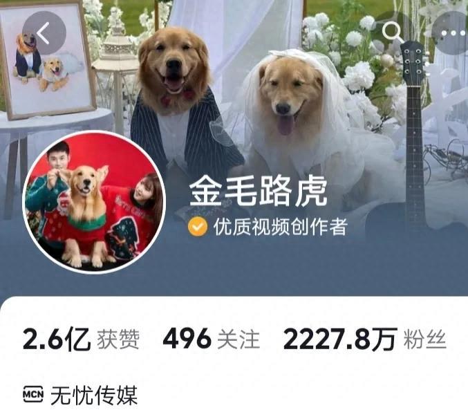 盘点"无忧传媒"旗下男网红粉丝量排行榜!广东夫妇仅排名第二!