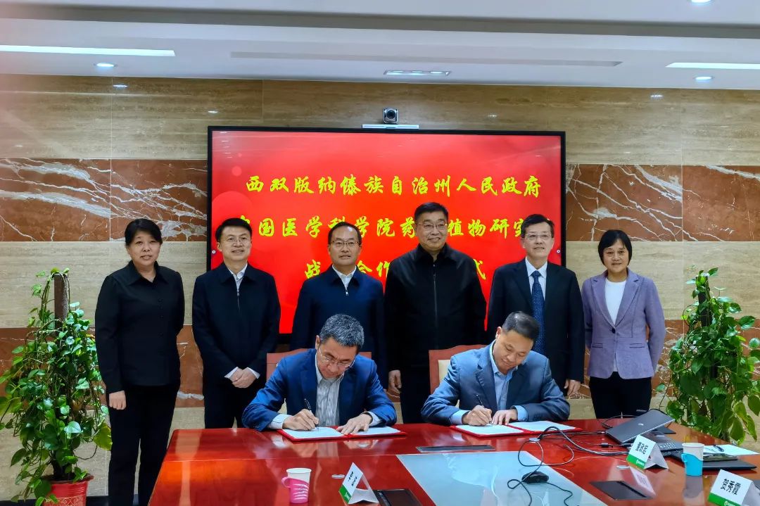 郑艺在北京拜访中国医学科学院药用植物研究所 见证西双版纳州政府与