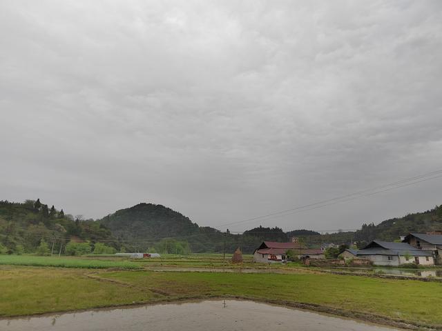 湖南麻阳龙飞天图片