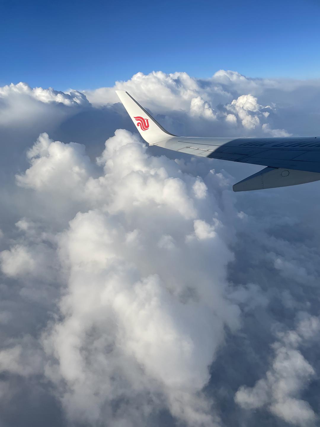 自助取机票是登机牌吗?