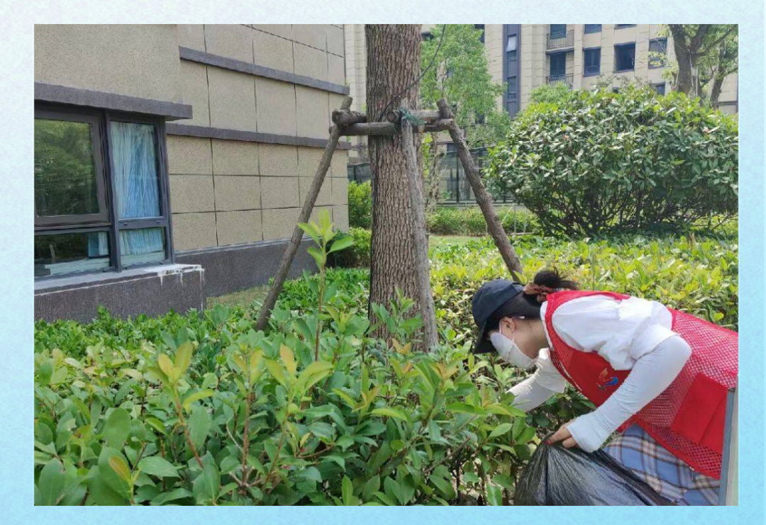 小区捡垃圾活动:美化环境与提升社会责任感的实践