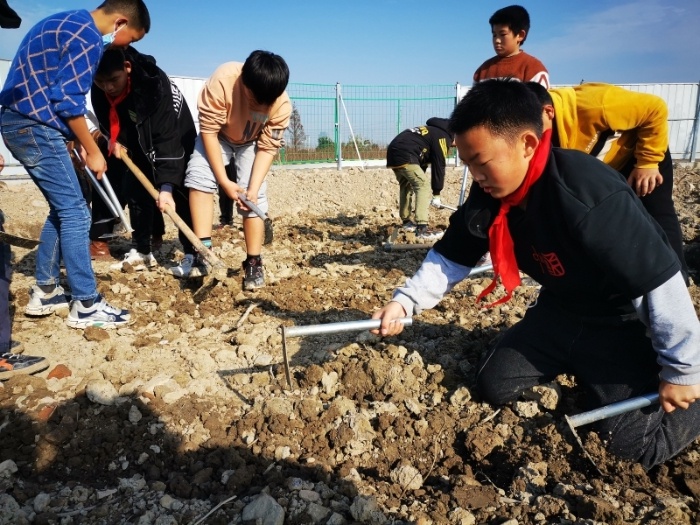 奉化区南浦小学传承农耕文化弘扬劳动精神