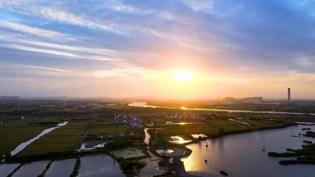 青浦区白鹤镇举办"投资白鹤,共赢未来"主题推介活动