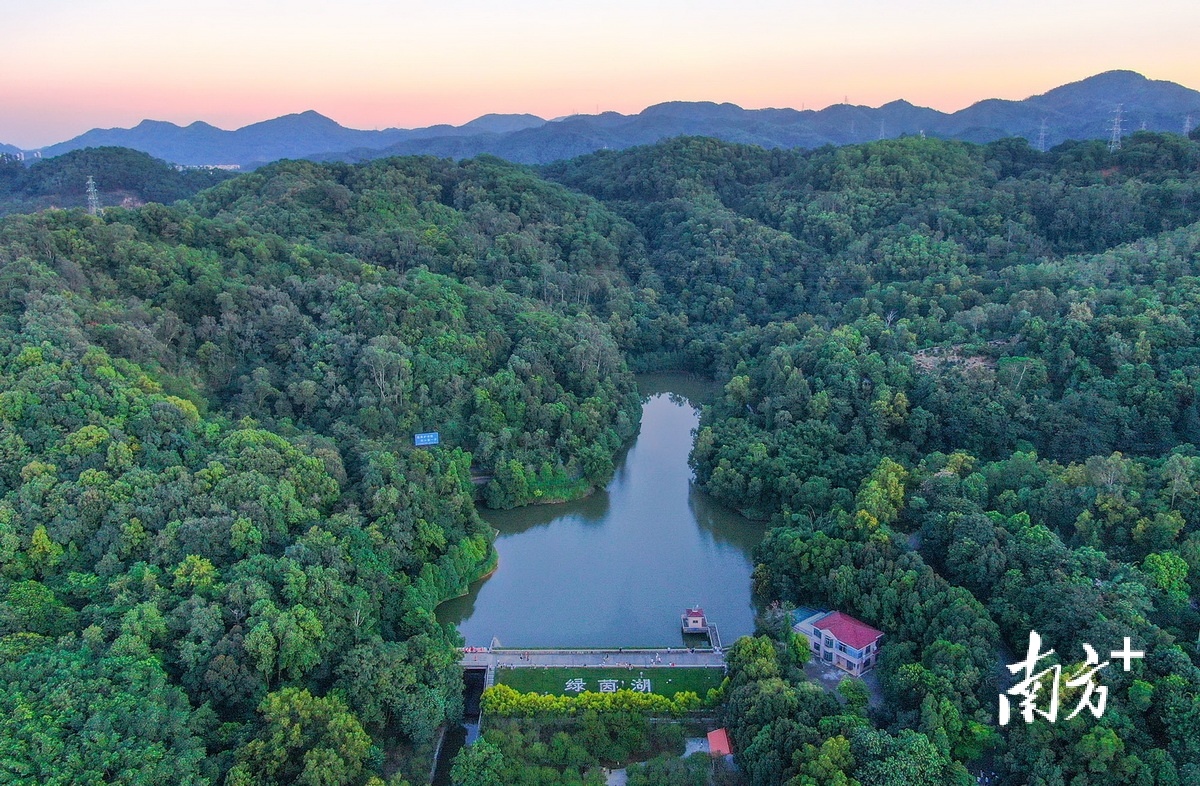 图集丨中山树木园,上新了