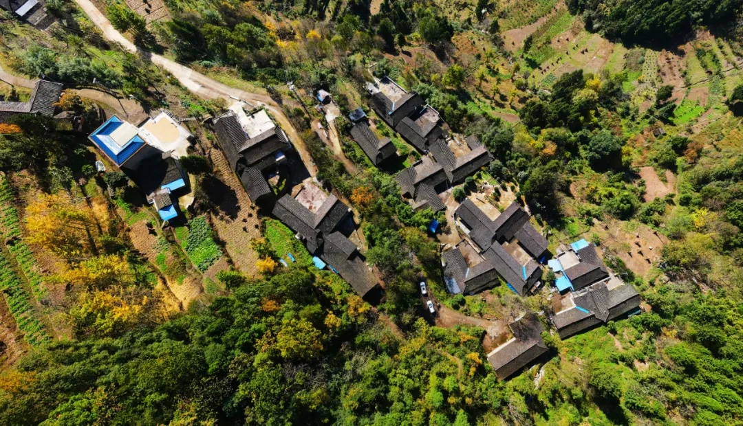 大美无言!旺苍国华镇山坪村万山"红"遍!