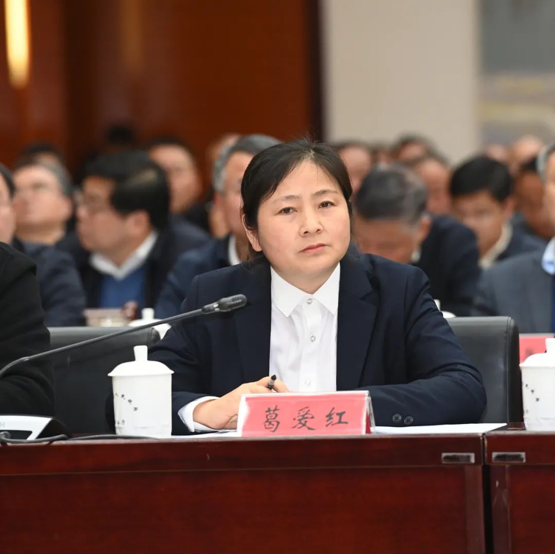 优秀村党组织书记与省委书记座谈看看颍州的他都聊了啥