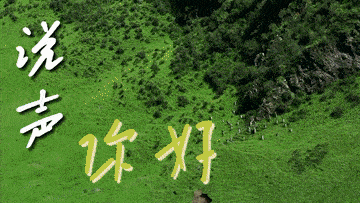 世界环境日对世界说你好