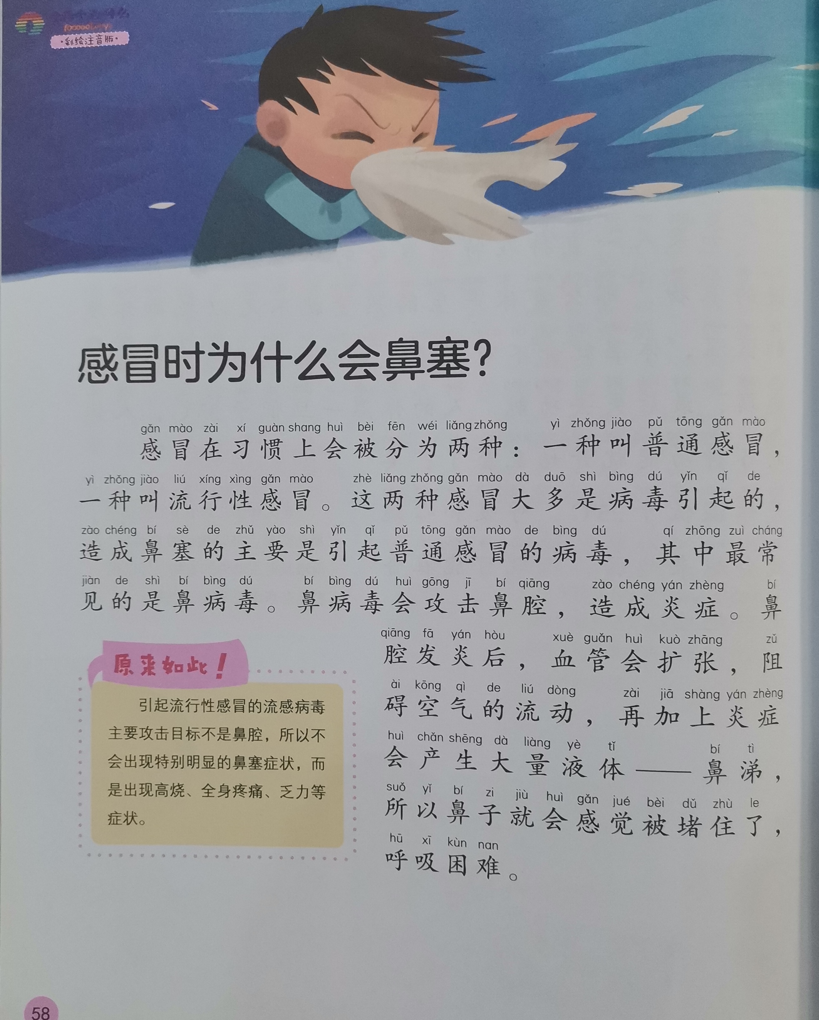 感冒时为什么会鼻塞?