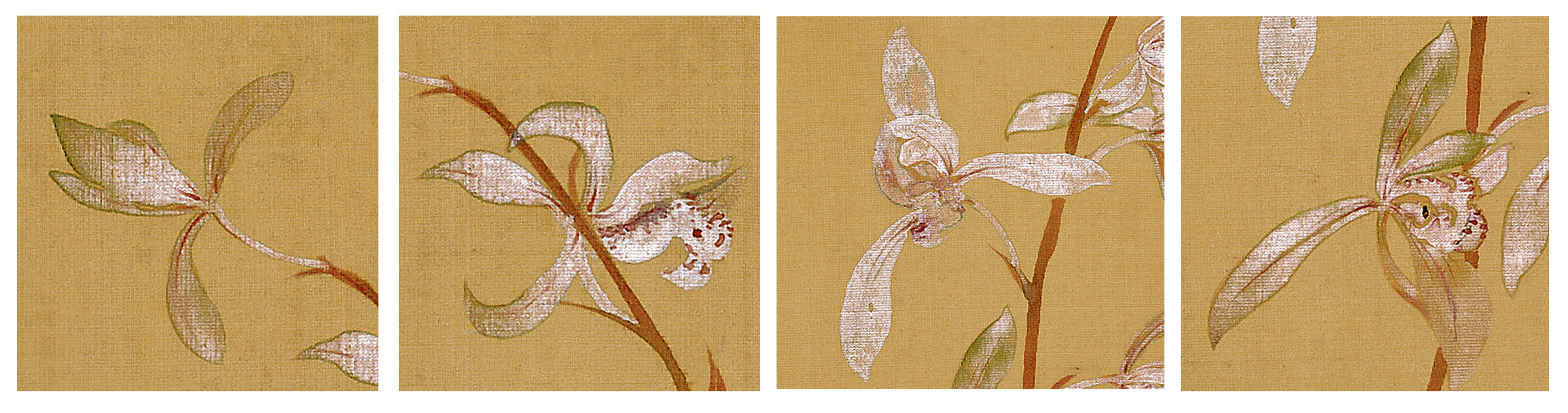 恽寿平《九兰图》,纤弱却不失风骨