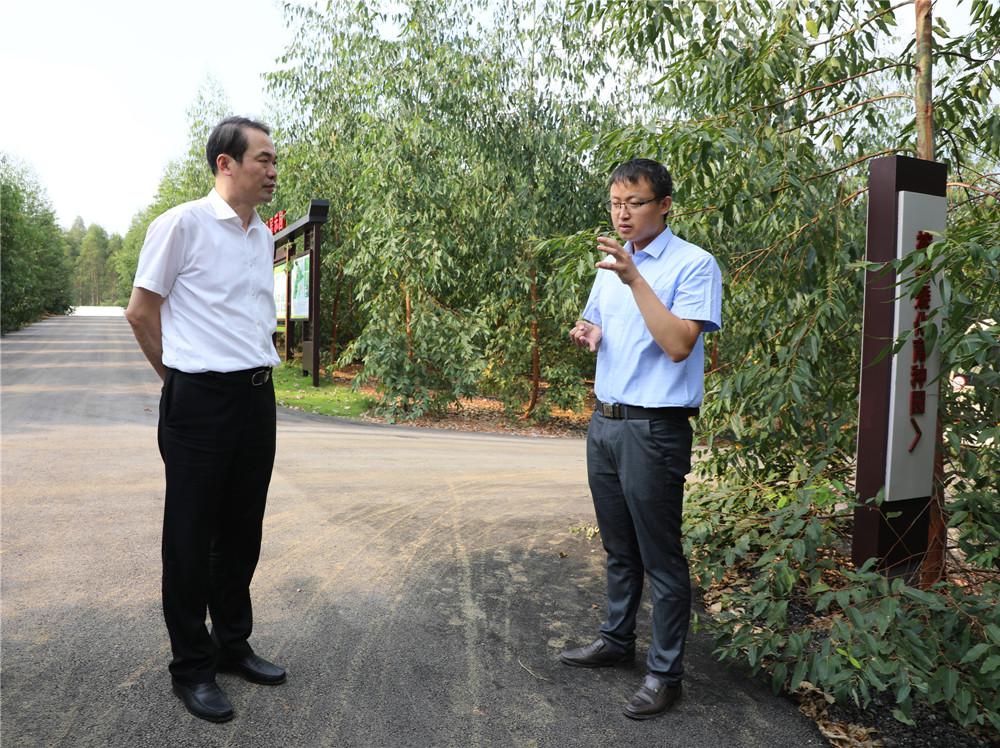 国家林草局总工程师闫振到东门林场调研国储林项目建设和桉树科研工作