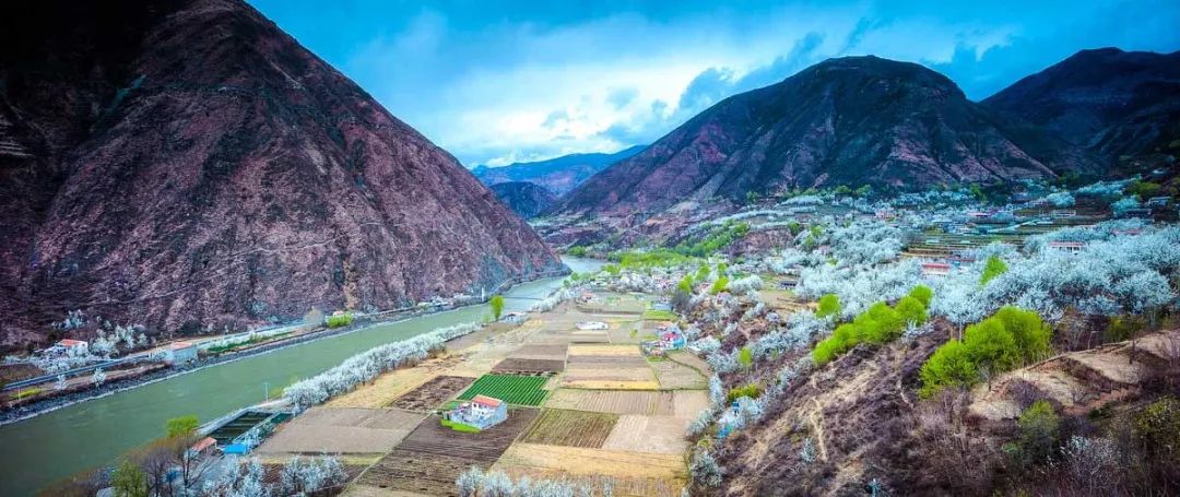 来卓尼上春山踏遍春光不思还