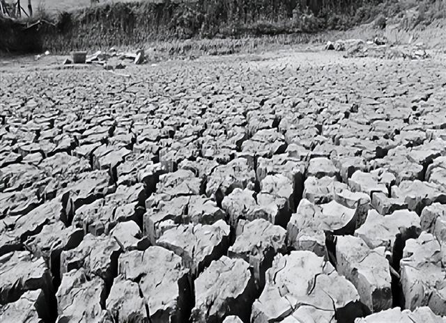 「红旗渠记忆」林州人民为什么要修建红旗渠?