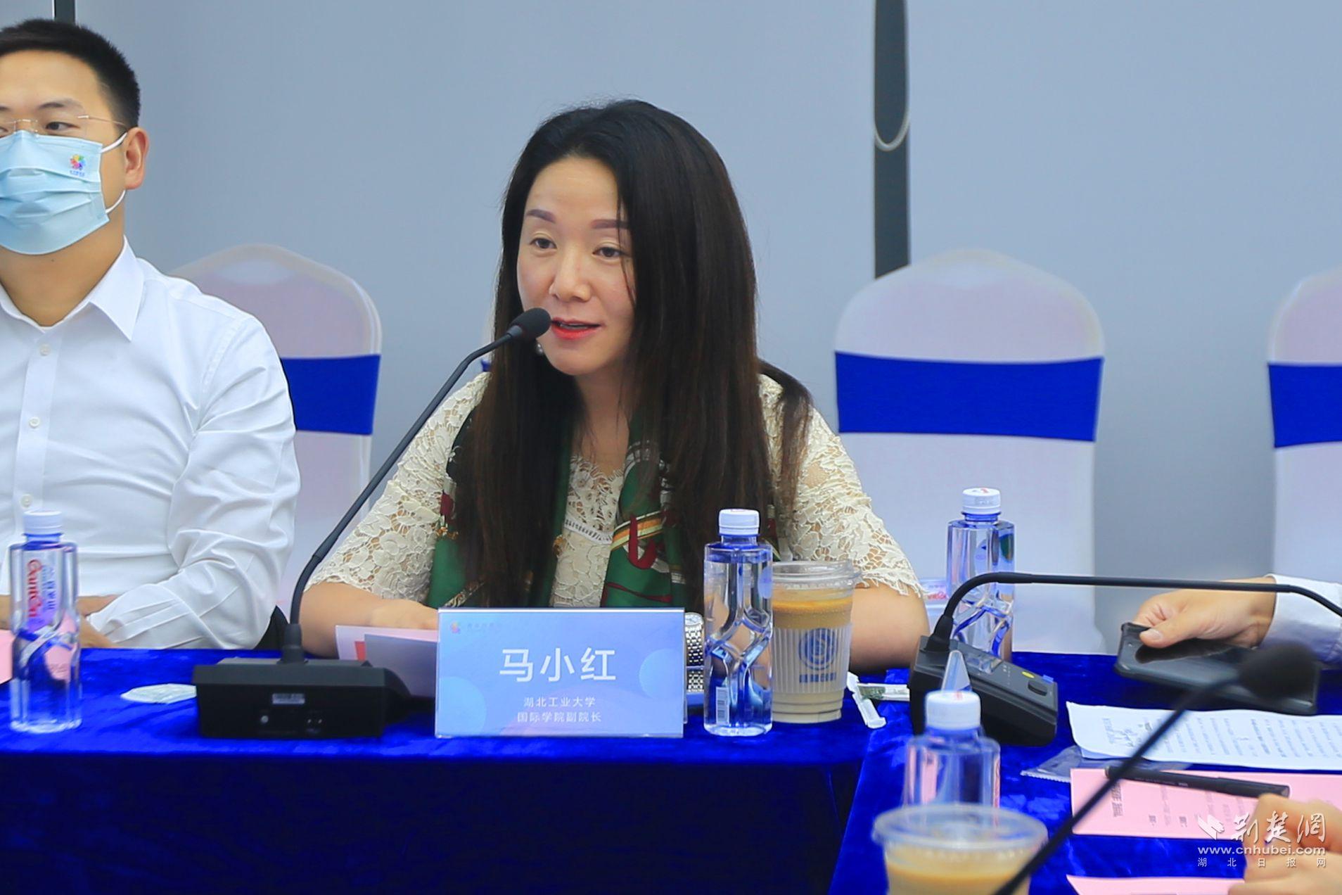湖北工业大学国际学院副院长马小红:加强国际学生友华爱校情怀 向世界