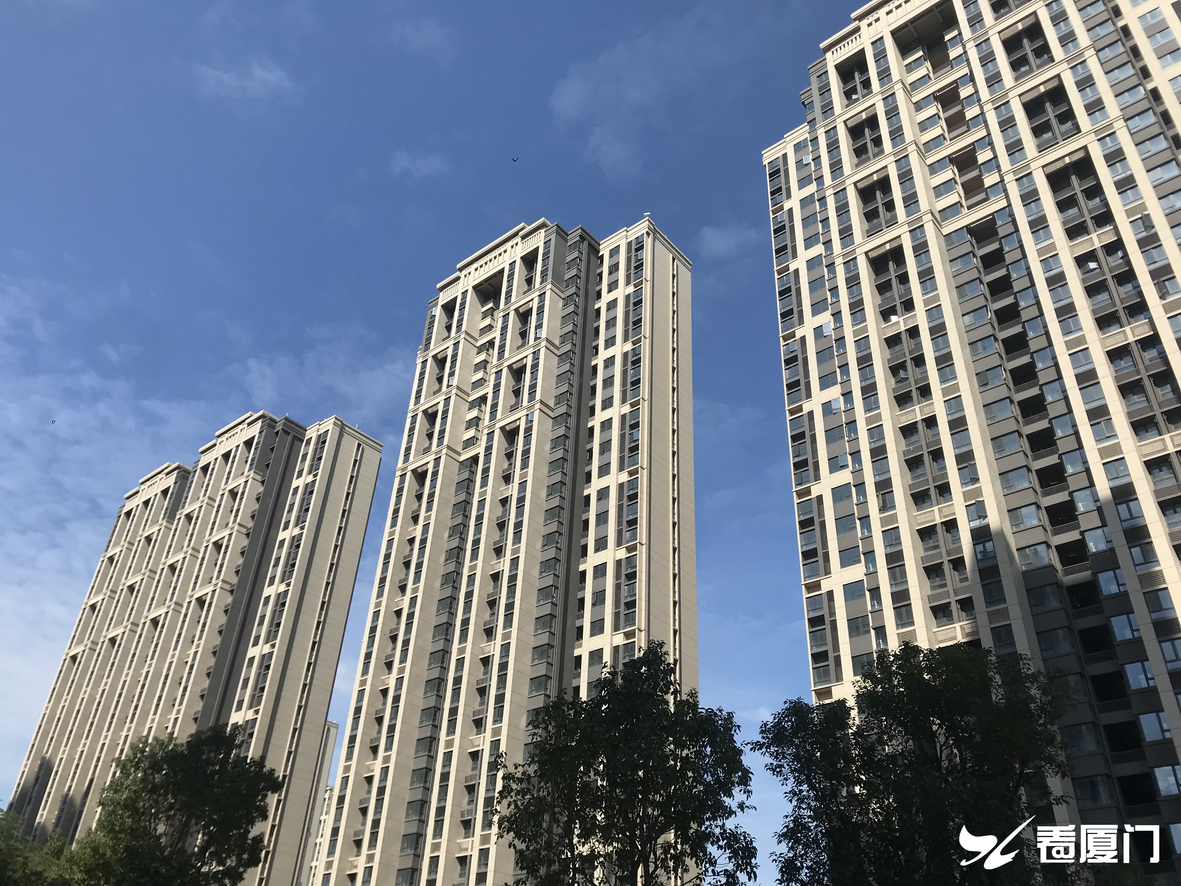 厦门:新阳居住区二期项目首批居民办理入住手续