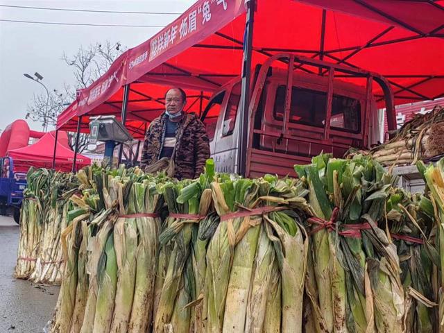 沂蒙山会|费县梁邱大集年味浓