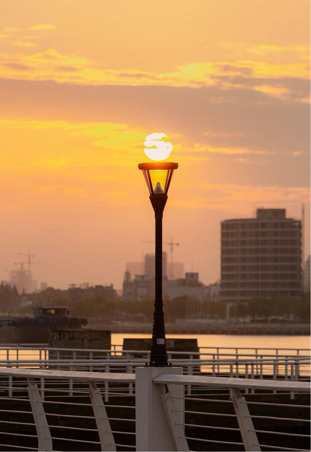 虹口冬日里,那些光影中的路灯风景