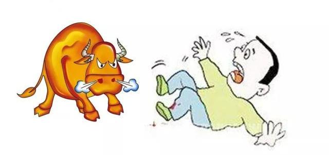 以案说法丨"牛撞人"引纠纷如何担责