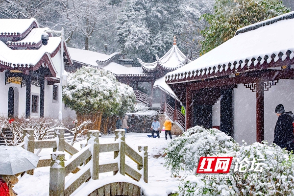 岳麓书院雪景图片