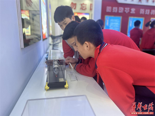 汉寿县西湖小学开展爱国教育实践活动