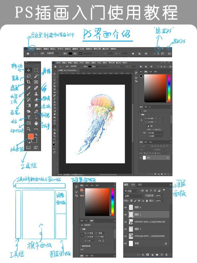 自学 ps 使用教程 超详细 小白进