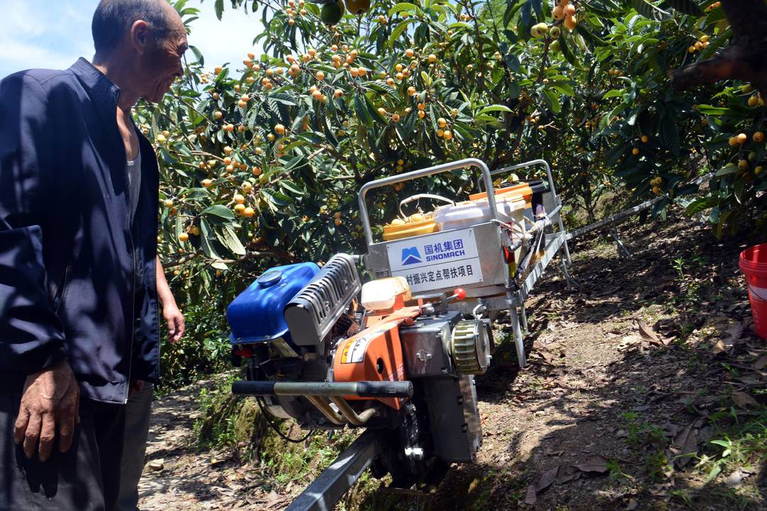 洋气!单轨运输车开进田间地头 果农喜笑颜开