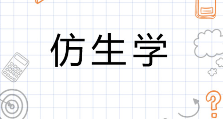 仿生學的10個例子