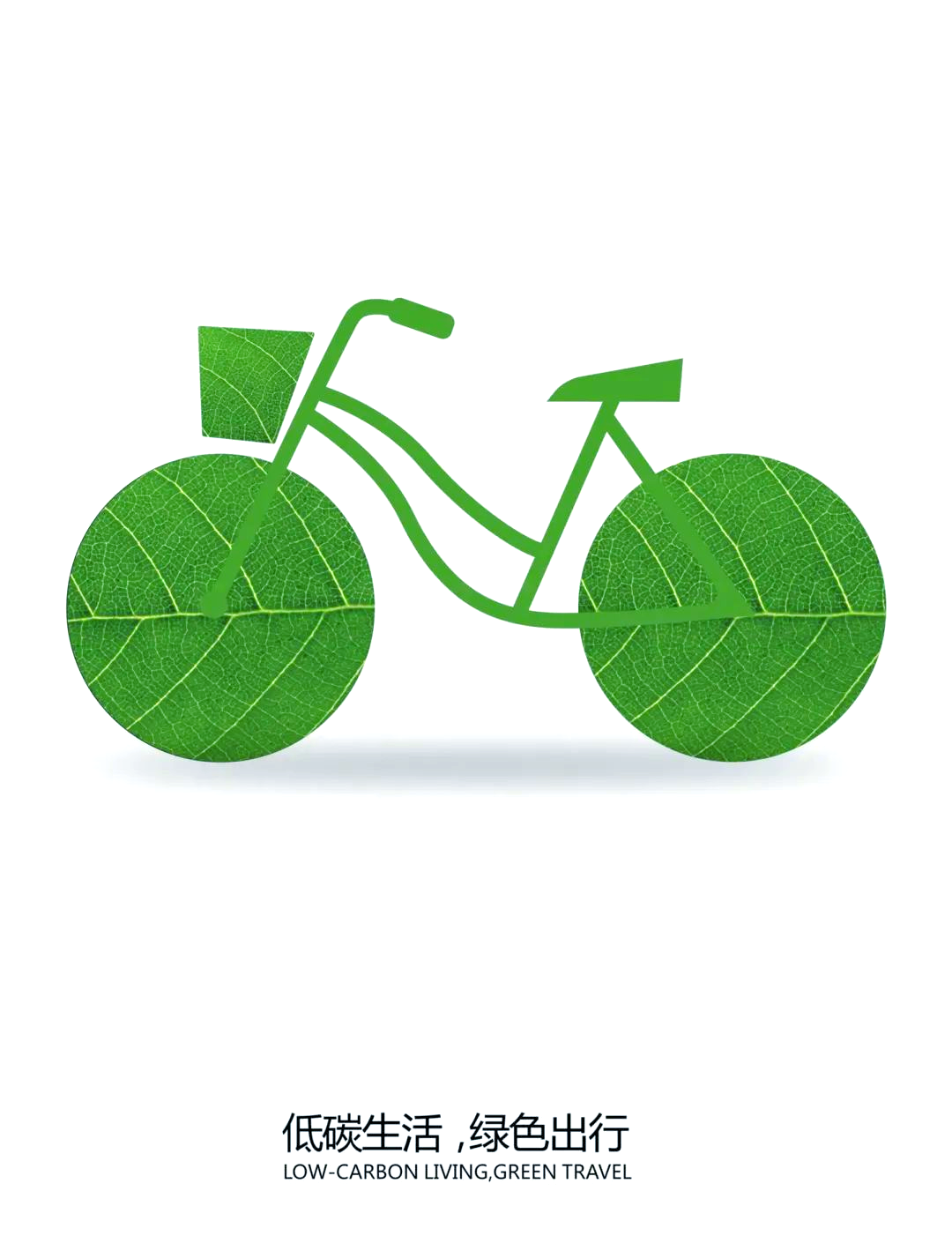 践行低碳出行,共创绿色未来