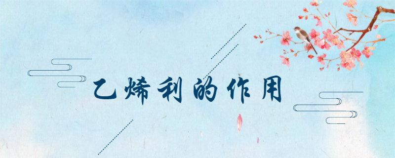 乙烯利的作用
