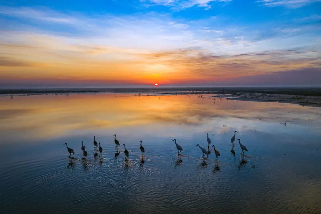 他们眼中的东营这么美东营最佳网红打卡摄影作品评选开始投票了