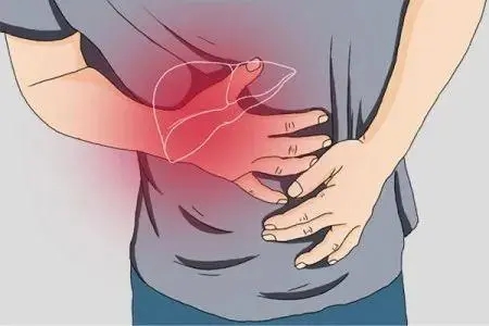 孕妇肝区疼痛位置图图片