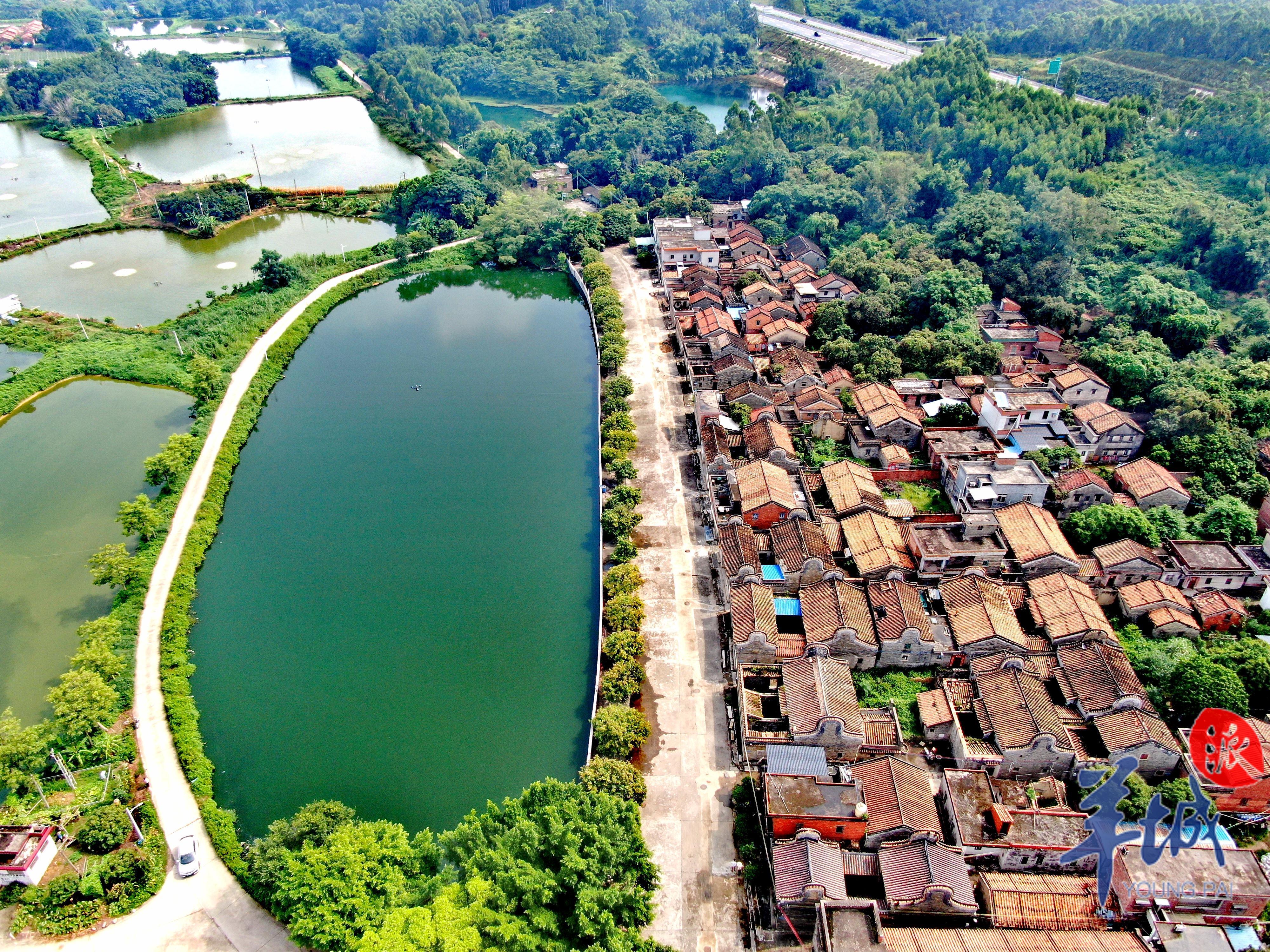 视频·大美岭南|广州花都莲塘村:石磨水韵 雾含乡愁